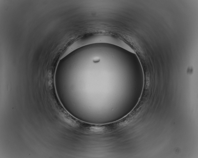 X0000091090457200708201501