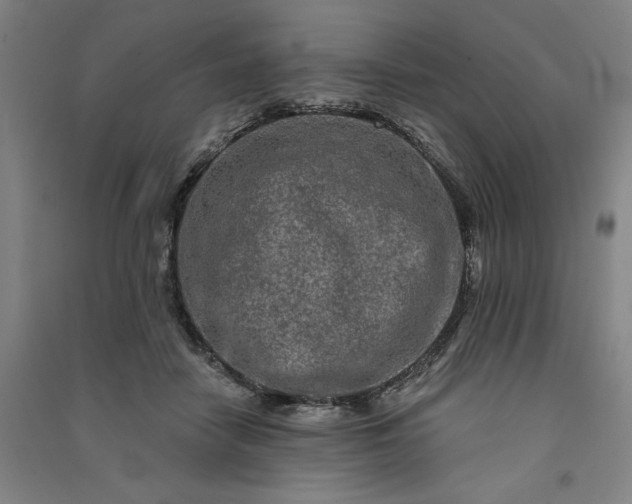 X0000091090458200708201501