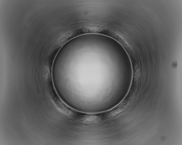 X0000091090459200708201501