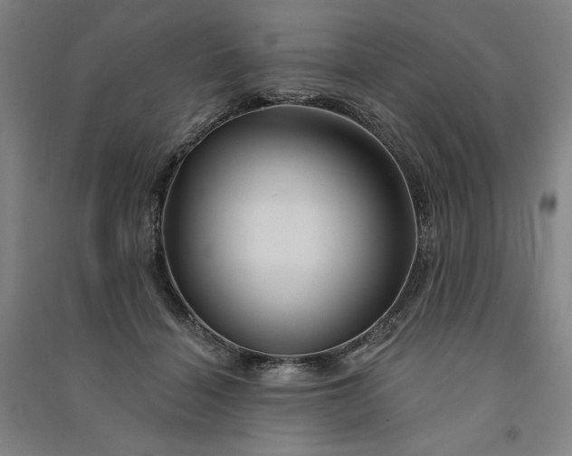 X0000091090460200708201501