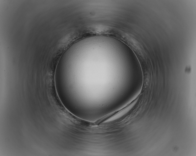 X0000091090461200708201501