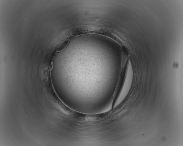 X0000091090462200708201501