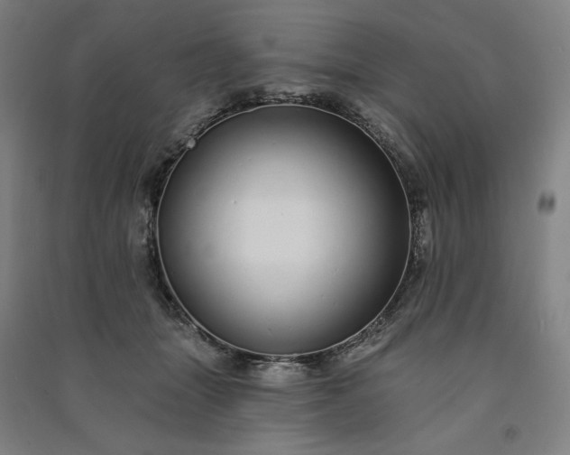 X0000091090463200708201501