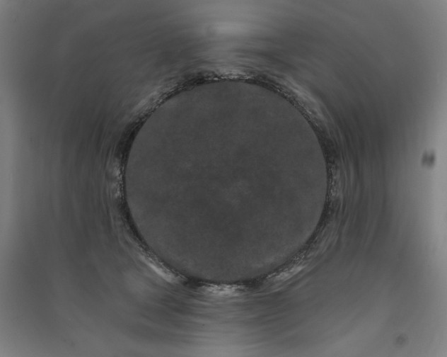 X0000091090465200708201501