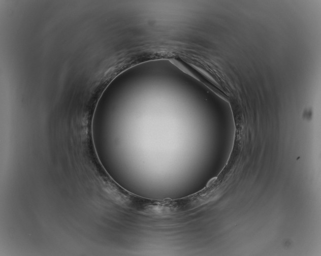 X0000091090466200708201501