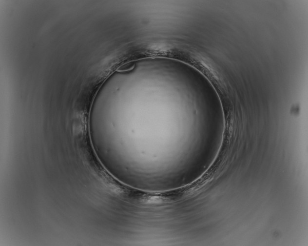 X0000091090467200708201501