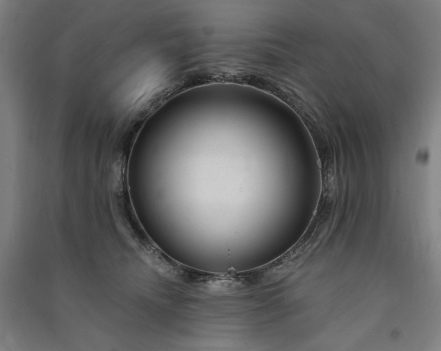 X0000091090468200708201501