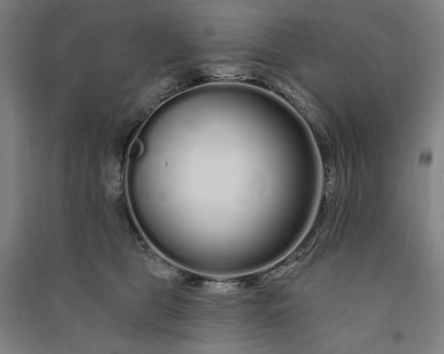 X0000091090469200708201501