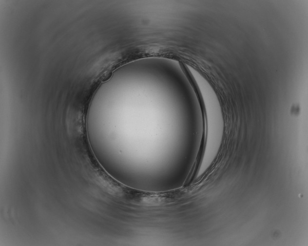 X0000091090470200708201501