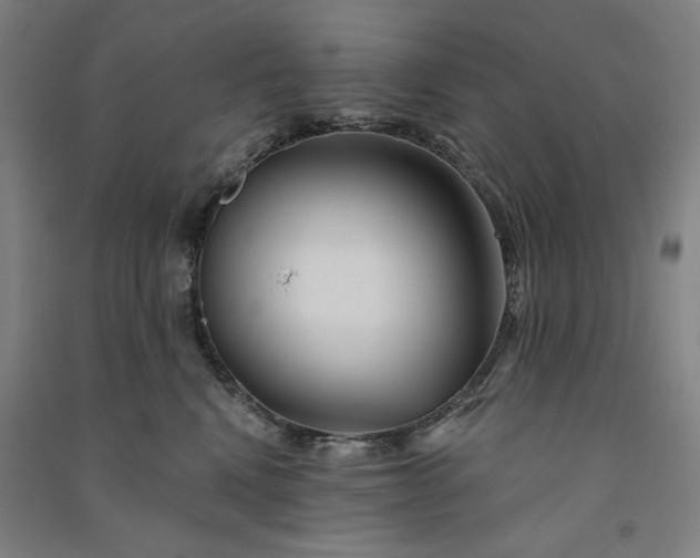 X0000091090472200708201501