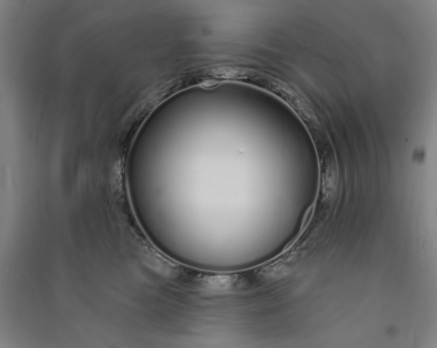 X0000091090473200708201501