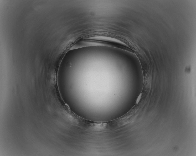 X0000091090474200708201501