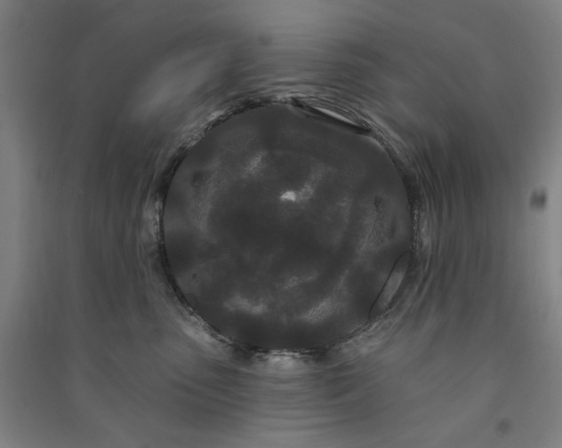 X0000091090475200708201501