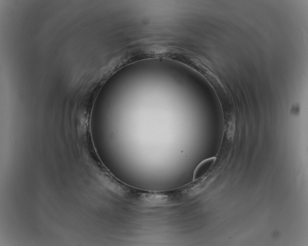 X0000091090476200708201501