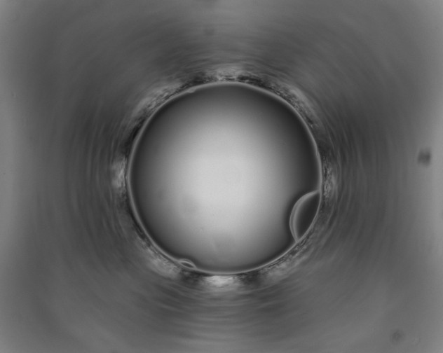 X0000091090477200708201501