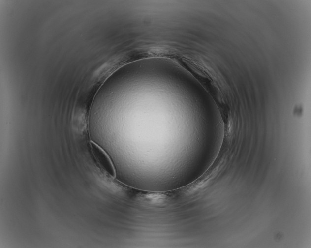 X0000091090478200708201502