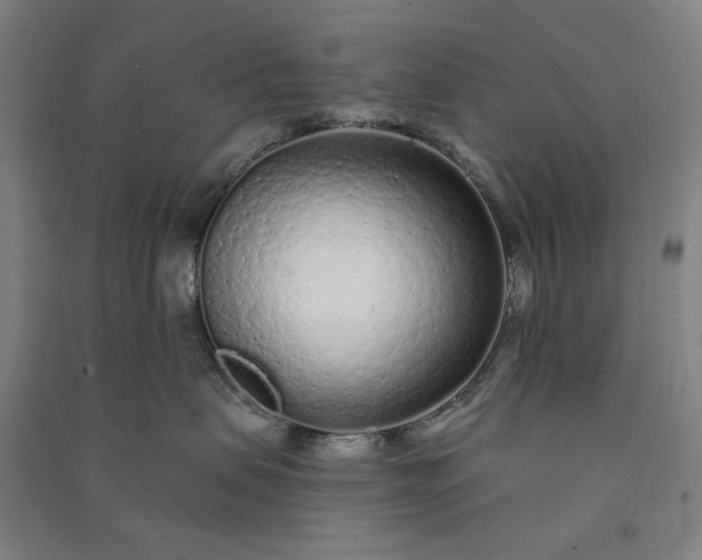 X0000091090479200708201502