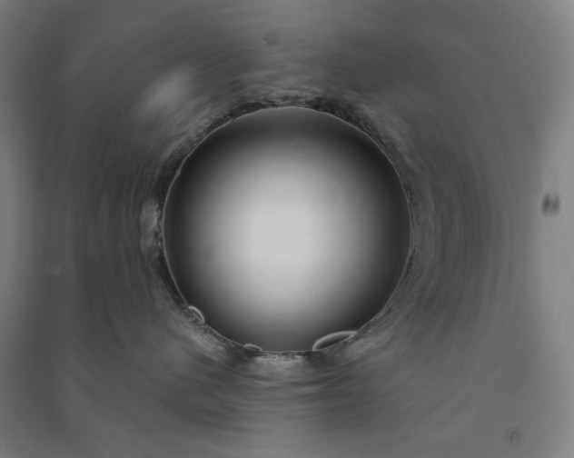 X0000091090480200708201502