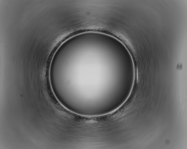 X0000091090483200708201501