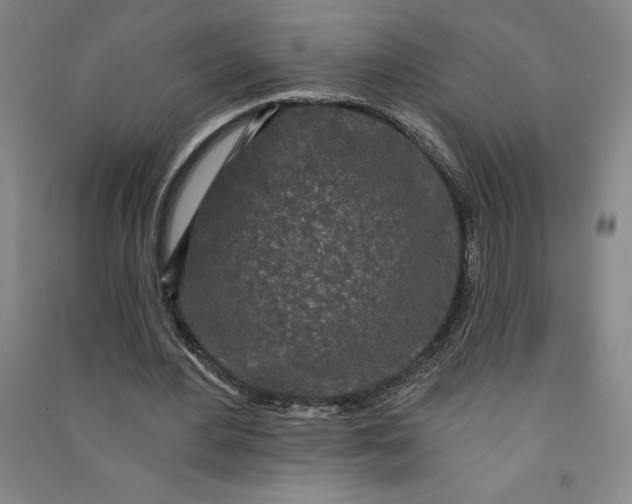 X0000091090484200708201501