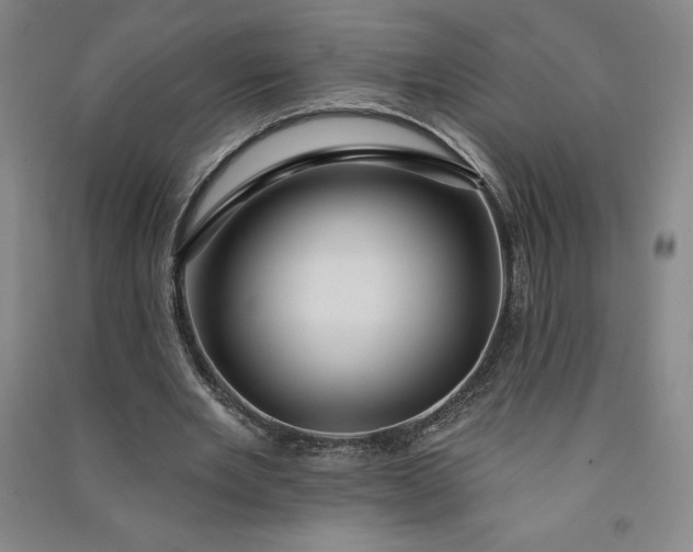 X0000091090485200708201501