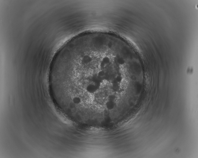 X0000091090487200708201501