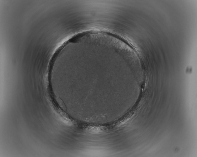 X0000091090488200708201501