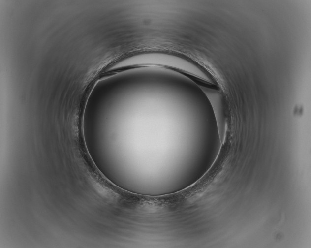 X0000091090489200708201501