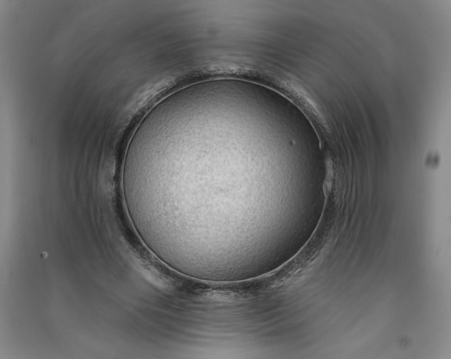 X0000091090490200708201501