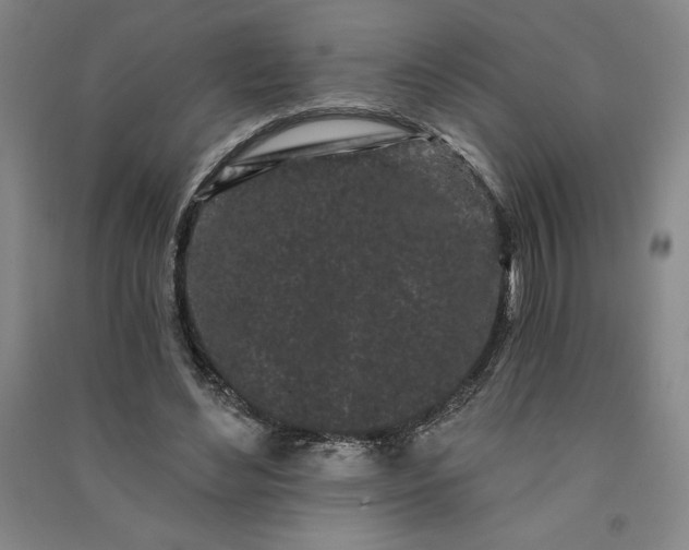 X0000091090492200708201501