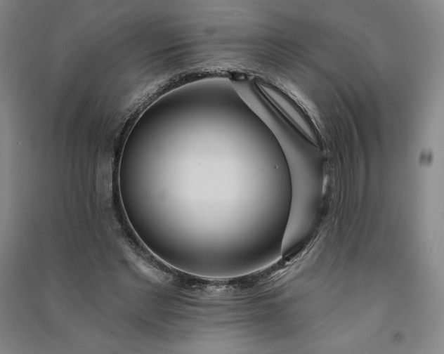 X0000091090493200708201501