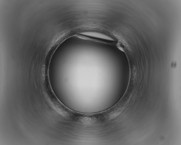 X0000091090494200708201501