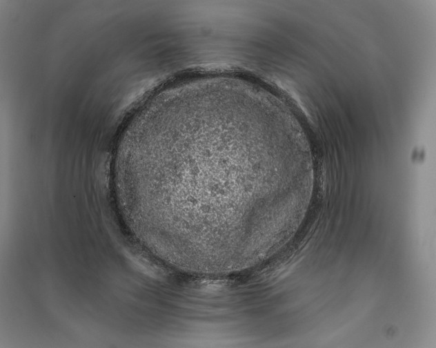 X0000091090495200708201501