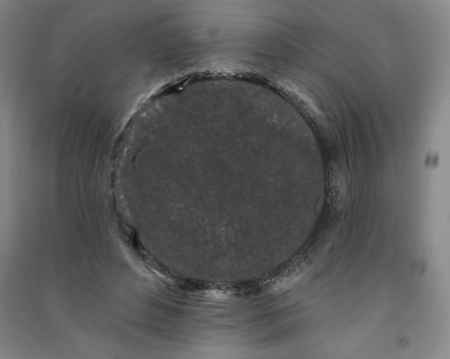 X0000091090496200708201501