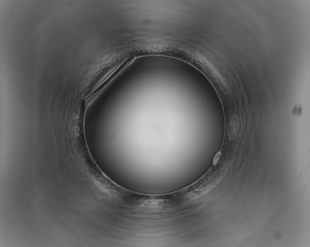 X0000091090497200708201501