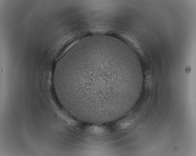 X0000091090498200708201501