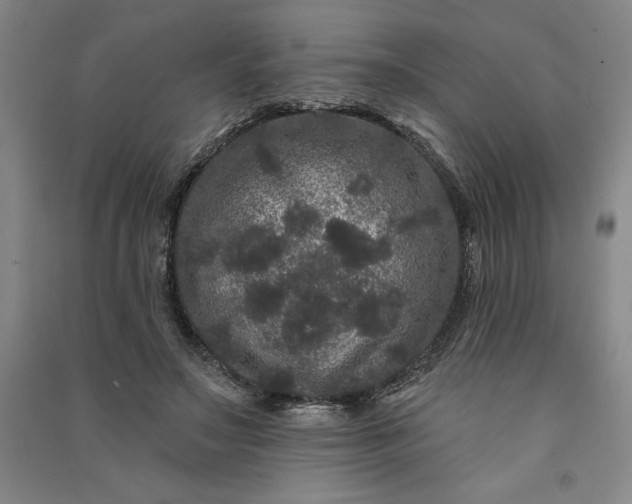 X0000091090499200708201501