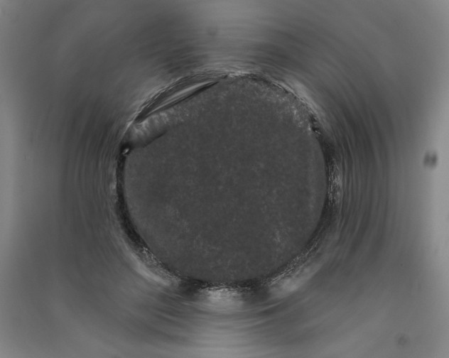 X0000091090500200708201501