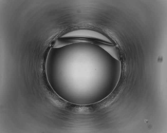 X0000091090501200708201501