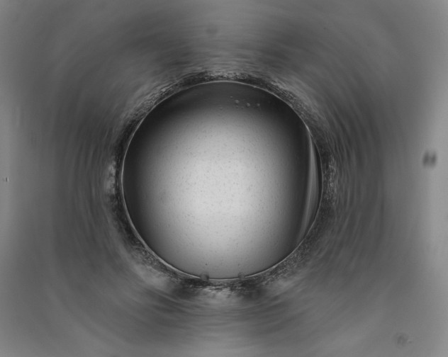 X0000091090502200708201501