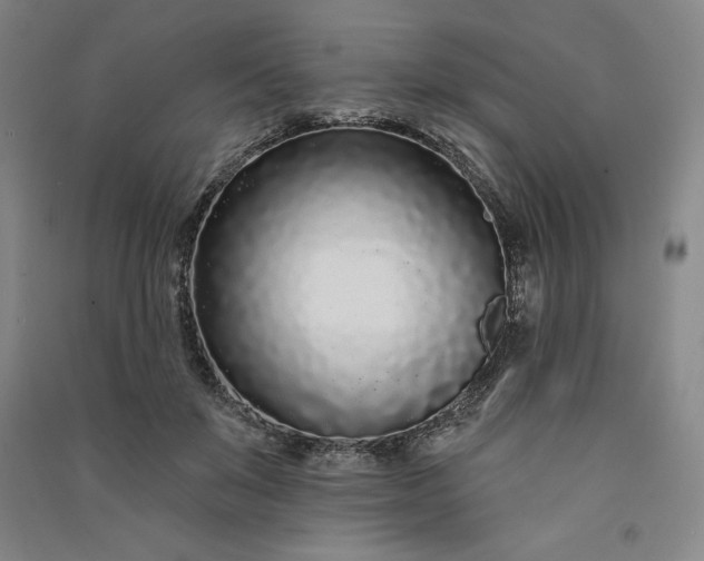 X0000091090503200708201501