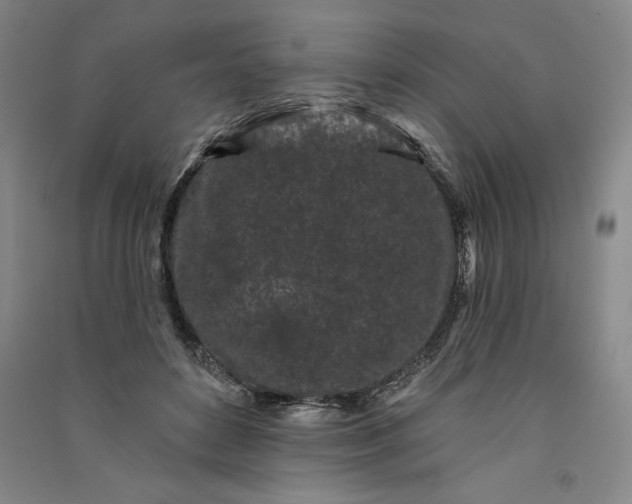 X0000091090504200708201501