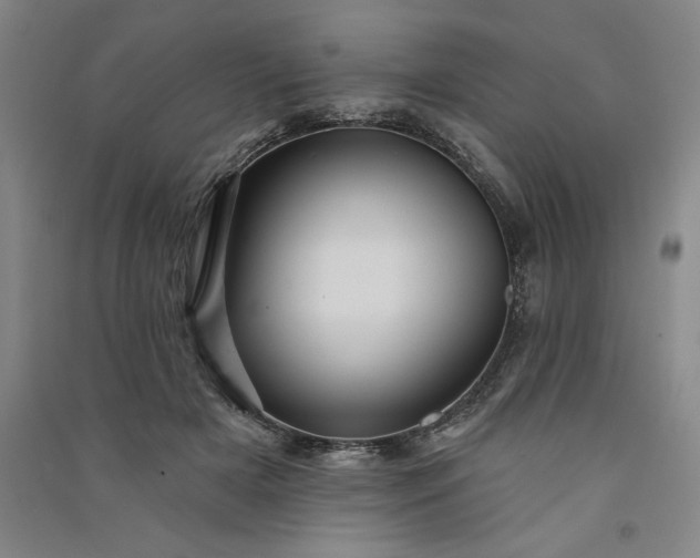 X0000091090505200708201501