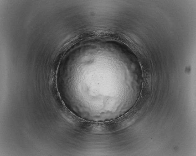 X0000091090507200708201501