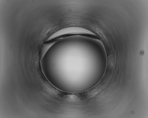 X0000091090509200708201500