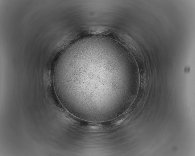 X0000091090510200708201500