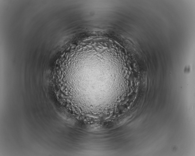 X0000091090511200708201500