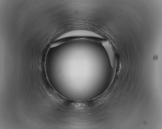 X0000091090512200708201500