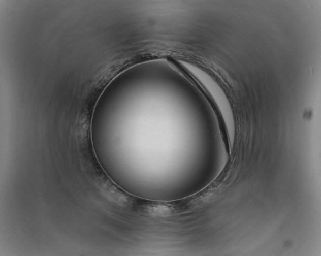 X0000091090513200708201500