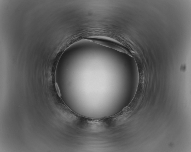 X0000091090516200708201500